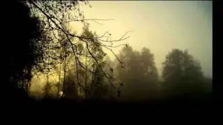 Captain Sensible - Wot ( Extended Version )