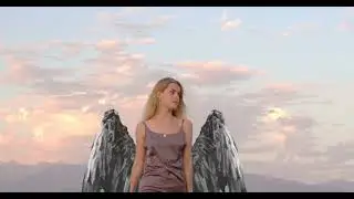 wings chroma key