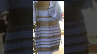 What color is this Dress? 🔵⚪ #question