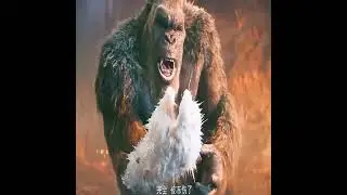 Kong