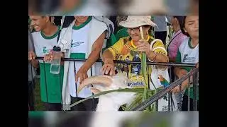 Exposição de Ovinos e Caprinos IFAM Campus Maués 2023 CCI