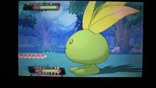 95☆ Mystherbe Chromatique / Shiny Oddish en 790 rencontres