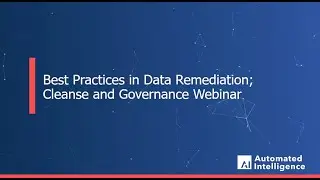 Highlights from our webinar: 'Best Practices for Data Remediation; Cleanse and Governance.'