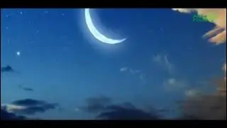 Рўзанинг Ҳикматлари