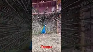 30 апреля 2023 г.