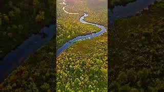 Tamarack Breeze