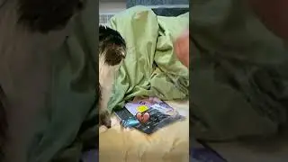 #funny