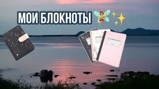 🧚мои блокноты🧚✨