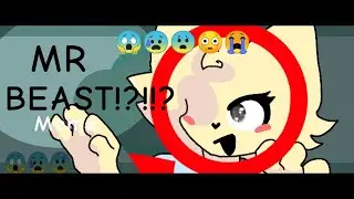 Mr Beast / Shitpost Meme