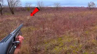ДЕЛИКАТЕСЫ  И ЗАЯЦ  !!!