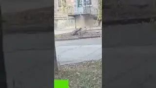 Голая женщина прошлась по кузбасскому городу Инцидент произошел в Юрге