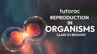 Trailer - Reproduction in Organisms | Full Course on Tutoracacademy.com | Class 12 | NEET | Biology