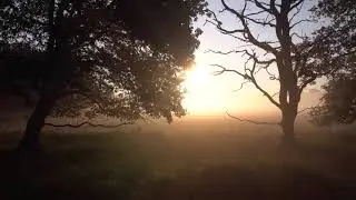 Beautiful Relaxing Music