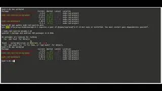 How to update  nodered packages, from cli.