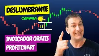 Se Liga Nos Acertos Deste Indicador Grátis Profitchart Tem No Mini Índice e Mini Dólar da Bolsa de..