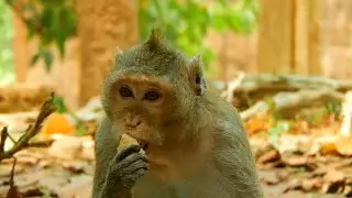 Young Mom Duchess & Baby Dakota Got Rambutan To Eat, Wish Them Good Luck