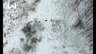 пов: где-то на Украине