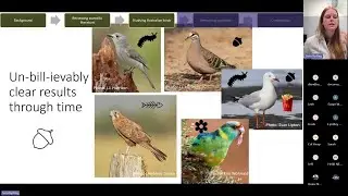 Birds meet: Climate change
