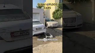DUBAI CARS AFTER FLOOD🇦🇪 #heavyrain #flood #alain #uae #automobile #uaeweather