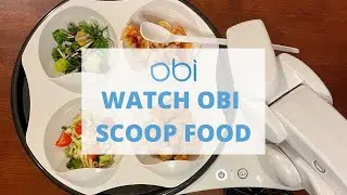 Watch Obi Scoop Food!