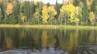 Лось переплывает р. ВОРОГОВКУ