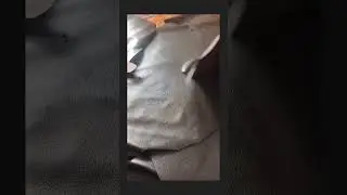 belajar dari kegagalan ( sunda)
