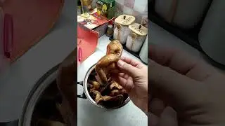 собрал грибы на прогулке с собакой