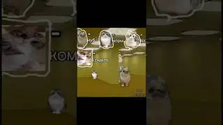 найди всех комару) #shorts #short #meme #mem #cat #cats #komaru #комару