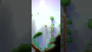 Круглый Мир в Террарии #terraria #террария