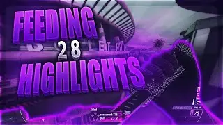 I CALLED IT!? (feeding highlights 28)