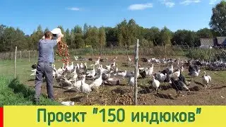САМЫЙ ТЯЖЕЛЫЙ ПЕРИОД в проекте 