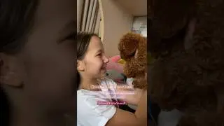 Первые часы наш щенок с нами в новом доме🏡🐶