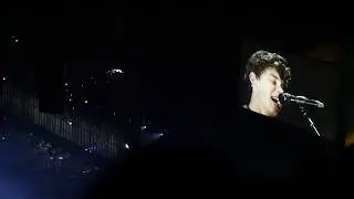 Shawn Mendes - Ruin