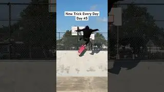 Varial Flip to Frontside Pivot Fakie | New Trick Every Day | Day 5