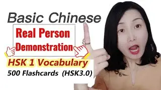 🔥Basic Chinese Words 500 - 2023, New HSK 1 Vocabulary (HSK3.0)🔥