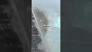 После этого видео уволили командира ДПС #shorts #mrrissso #мусор #бригада