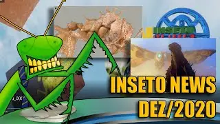 Inseto News Dezembro/2020