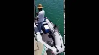 דייג במפרץ אילת עם סירת קוליברי +מנוע ימי 9.8 כ
