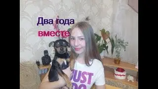Два года вместе/Что я подарила собаке/Изменения в жизни/Той-терьер Тайсон.