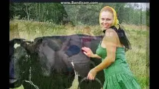 Ноктюрн
