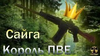Сайга король ПВЕ в сталкрафт. Stalcrfat