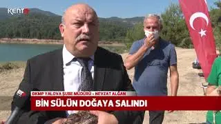 BİN SÜLÜN DOĞAYA SALINDI