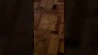 Прикол
