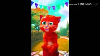 Talking Ginger effects 5 (KineMaster Version)