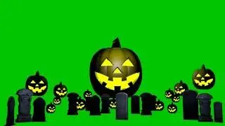 4K Pumpkin Green Screen Animation. Green Screen Footage.
