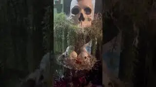 💀 DIY Skull Topiaries 💀