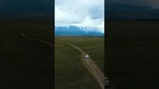 Алтай - место силы и вдохновения #shorts  #nature #travel #mountains