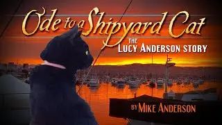 Lucy - Ode to a Shipyard Cat