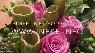 Simpel met polygonum, Easy with polygonum