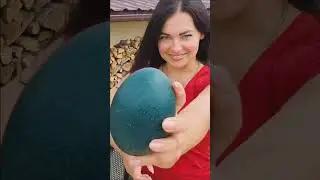 Rare EMU EGGS! | Royal LQT |